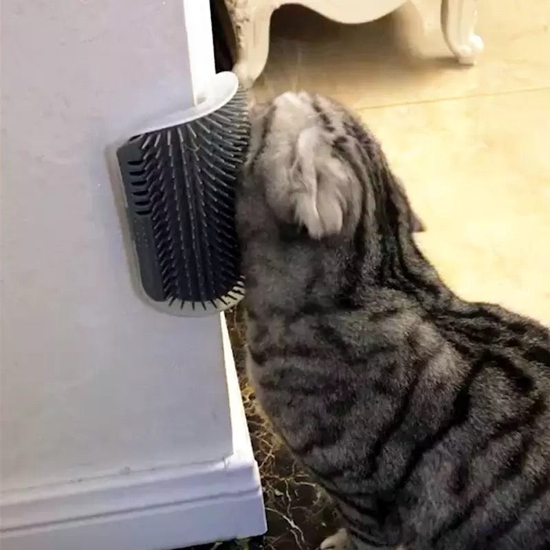 Cats hair Brush ( two）