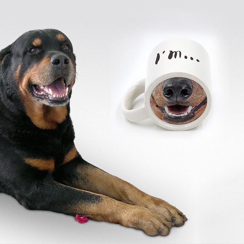 Interesting mugs-Funny Gifts