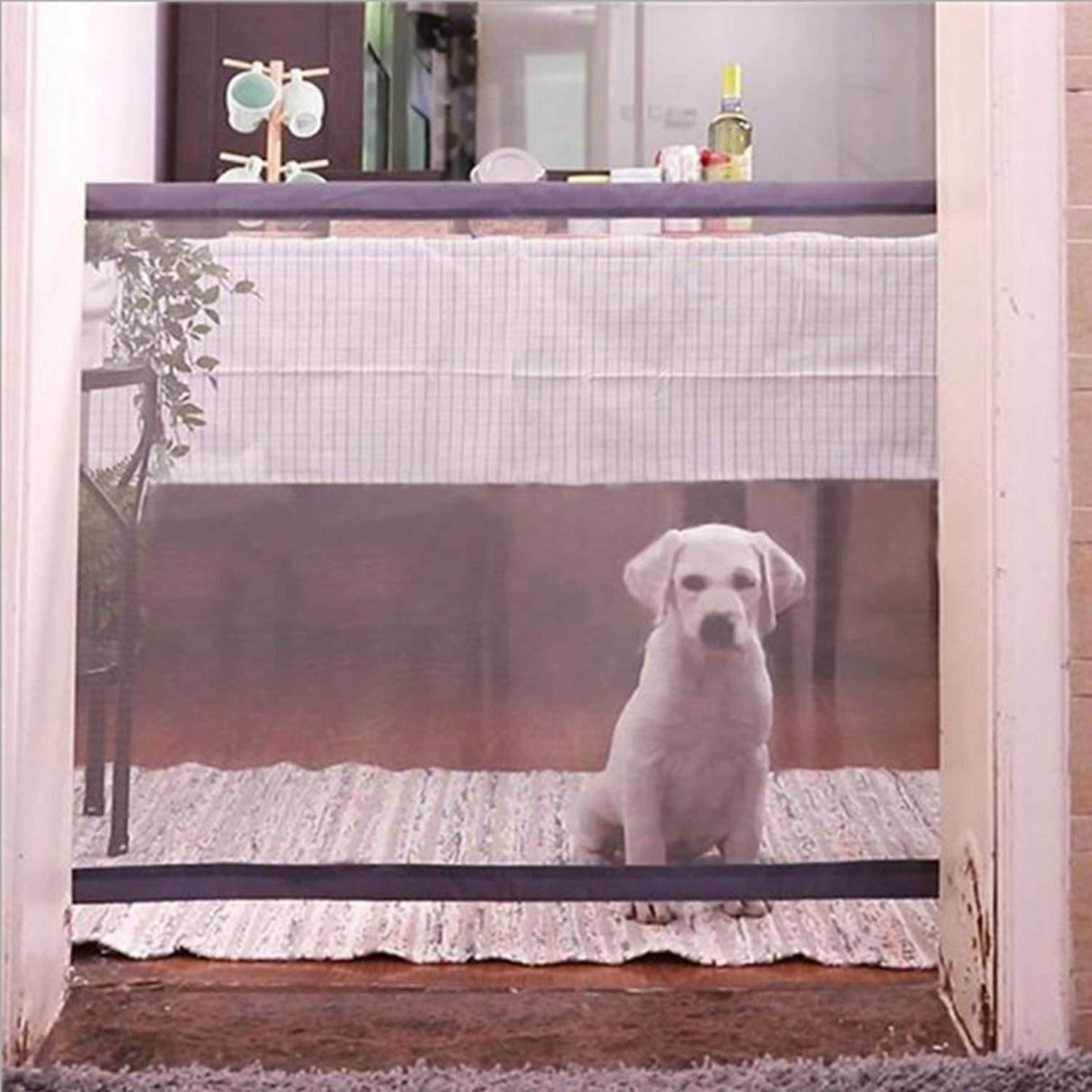 Dog Safety Gate